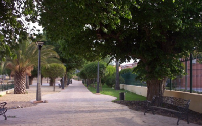 Turismo de cercanías “Árboles monumentales de la zona II”