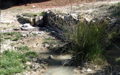 Turismo de cercanías” La montaña del Carrascal”