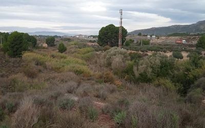 Turismo de cercanías “Paisaje semiurbano en el Alto Vinalopó”