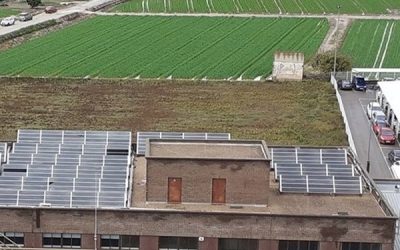 Sanidad diseña un proyecto piloto para liderar la transición verde sanitaria