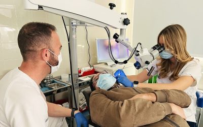 Especialistas recomiendan limitar el volumen y el tiempo de uso de los auriculares para preservar la salud auditiva