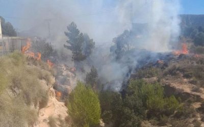 La Diputación invierte dos millones de euros en los Planes de Prevención de Incendios Forestales de los municipios