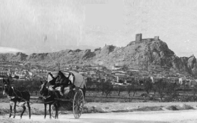 Un censo de mulas y carros en Sax en 1558
