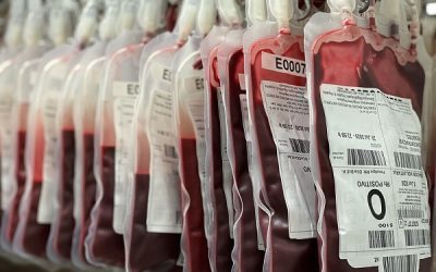 Nueva colecta de donación de sangre en Sax para el martes 25 de febrero