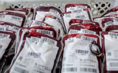 Nueva colecta de donación de sangre en Sax para el martes 30 de enero