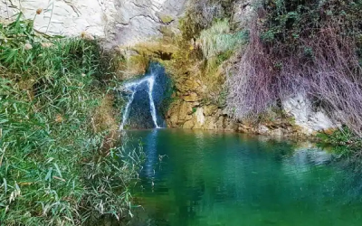 “Echar la vista atrás” un relato sobre la evolución del paisaje en nuestra comarca