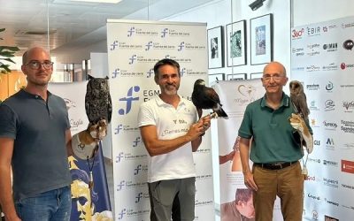 Empresarios de todos los sectores se reúnen con la asociación Magic Eagle en Valencia