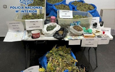 La Policía Nacional desarticula un grupo criminal dedicado al cultivo indoor de marihuana y a la distribución al por mayor de sustancias estupefacientes