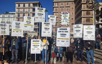 La Comunidad Valenciana se manifiesta frente al gobierno central exigiendo responsabilidades respecto a la transición energética