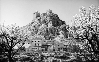 La Casa Alberto Sols acoge una exposición sobre el Castillo de Sax organizada por la Universidad de Alicante