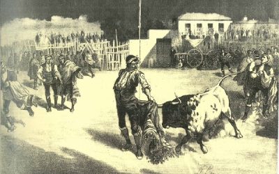 Juegos de toros en Sax en el siglo XVII