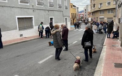 Sax celebrará San Antón, el día ‘grande’ para los animales en su edición de 2024
