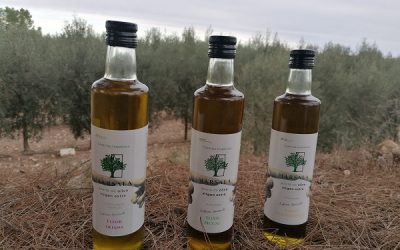 Los aceites Marsala, de Sax, entre los mejores de la Comunidad Valenciana por segundo año consecutivo