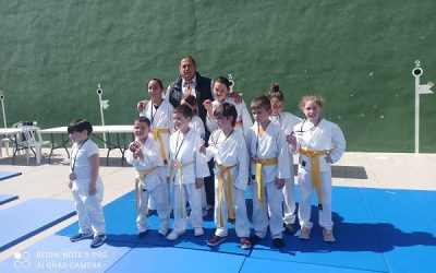 Vuelve la magia del Judo a Sax a partir del 3 de septiembre