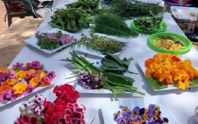 El 12 de mayo en Sax se celebra el Día mundial de la Fibromalgia