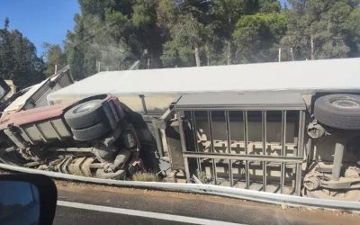 Camión volcado en la A-31 en Elda provoca un atasco kilométrico