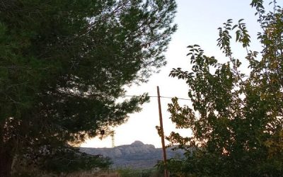 Vecinos denuncian la oleada de robos en Sax y exigen mayor presencia policial en los diseminados