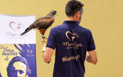 Magic Eagle llevará a cabo terapias asistidas con aves en Mutxamel, con el objetivo de beneficiar a personas con necesidades especiales