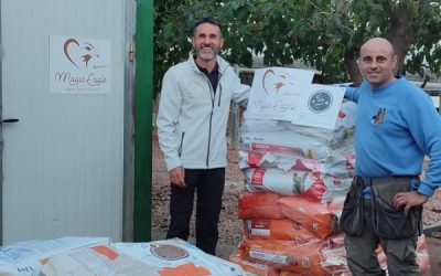 La Asociación Magic Eagle entrega alimentos destinados a protectoras de animales y propietarios de mascotas que han sufrido las consecuencias de la DANA