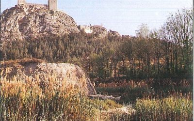 El Carrizo, uno de los ingresos de los bienes de propios del Concejo de Sax en el siglo XVII