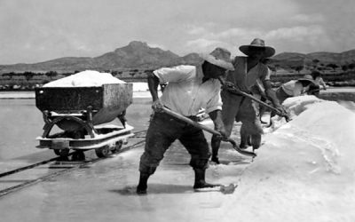 Un proyecto de desecación de la Laguna de Salinas en 1870