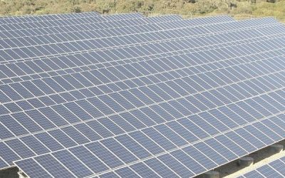 Nueva planta solar de 46,8 MW entre Sax, Salinas, Elda y Petrer