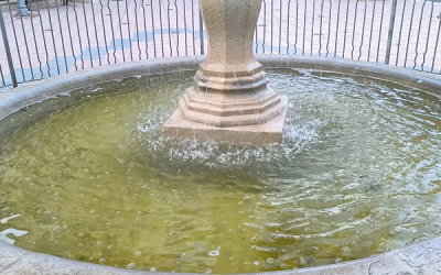 Dejadez, suciedad, desidia y abandono en los parques y jardines de Sax