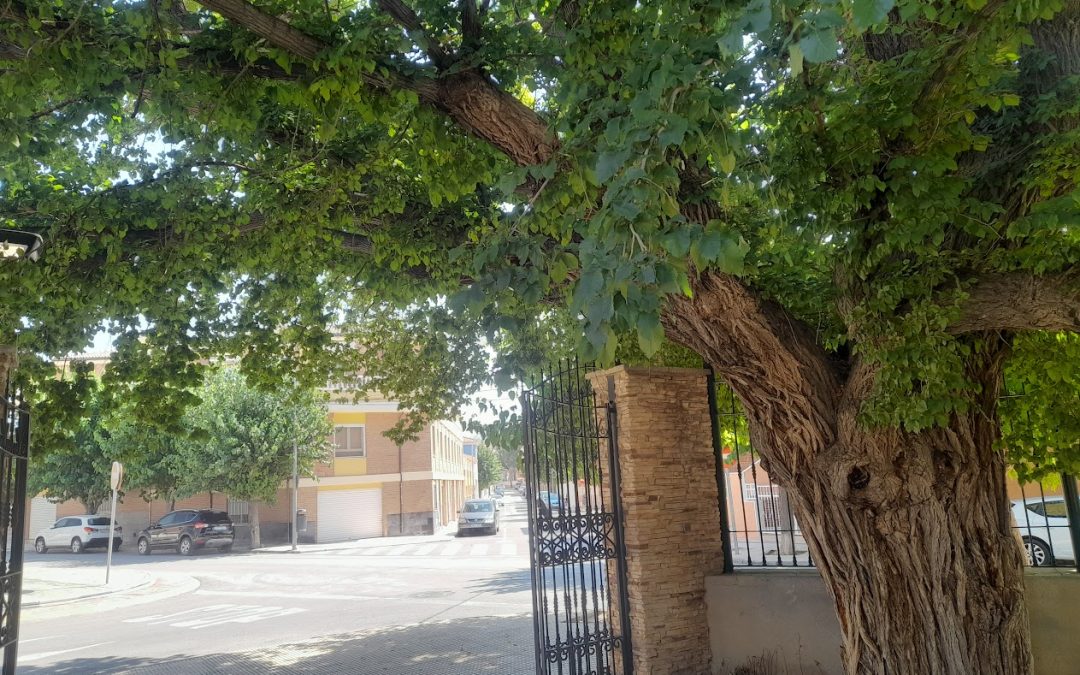 Cuando el asfalto arde la ciudadanía sajeña busca en la villa las escasas sombras y servicios más frescos