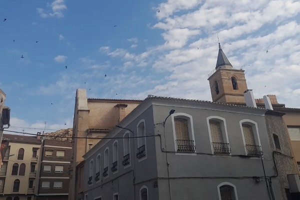 Las cifras del paro en Sax el pasado mes de agosto dejaron en 696 el número total de desempleados