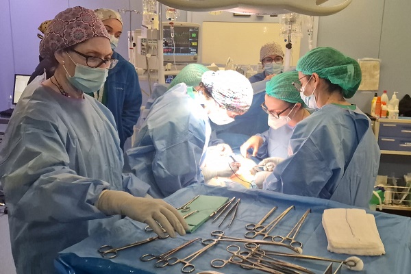 El Departamento de Salud de Elda incorpora una técnica avanzada para el tratamiento de hernias complejas de la pared abdominal