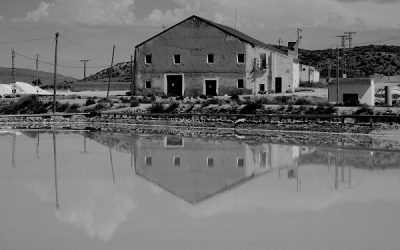 Las aguas del Vinalopó contaminadas con sal en 1868