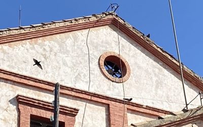 El Tribunal Supremo ha admitido a trámite el recurso de casación presentado por un particular frente a la sentencia del Tribunal Superior de Justicia que desestimó garantizar la protección de la Colonia