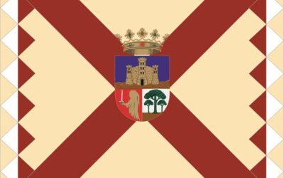 Proponen la oficialización de la Bandera Histórica de Sax basada en su diseño tradicional con la Cruz de Borgoña